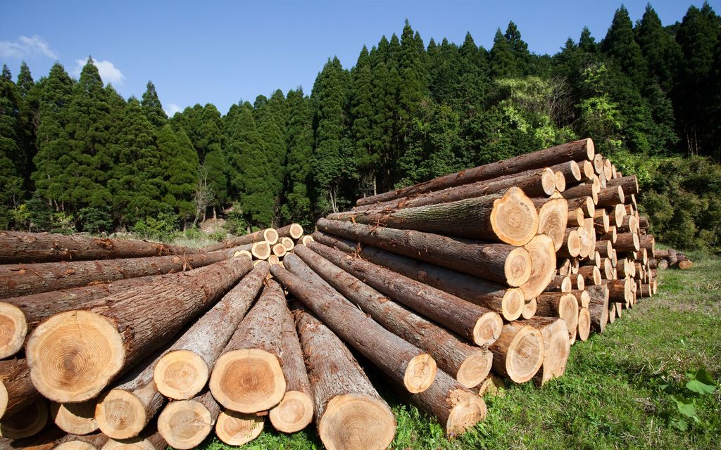 Обеспечение граждан льготной древесиной для собственных нужд на территории муниципального образования Смоленский район Алтайского края.